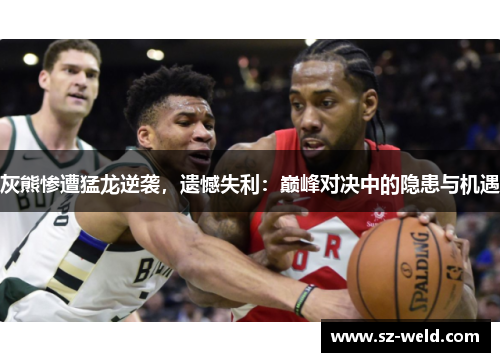 灰熊惨遭猛龙逆袭，遗憾失利：巅峰对决中的隐患与机遇